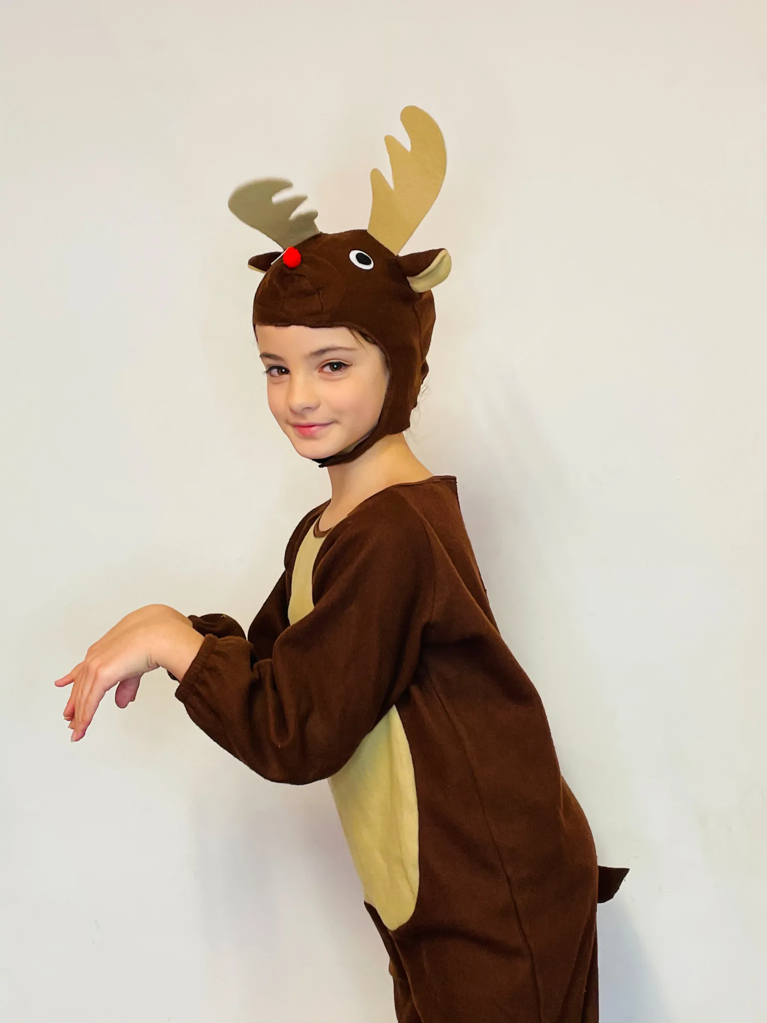 BL079 - REINDEER
