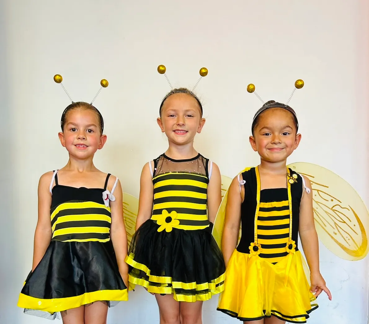 BL159 - BEE OUTFITS (with wings)