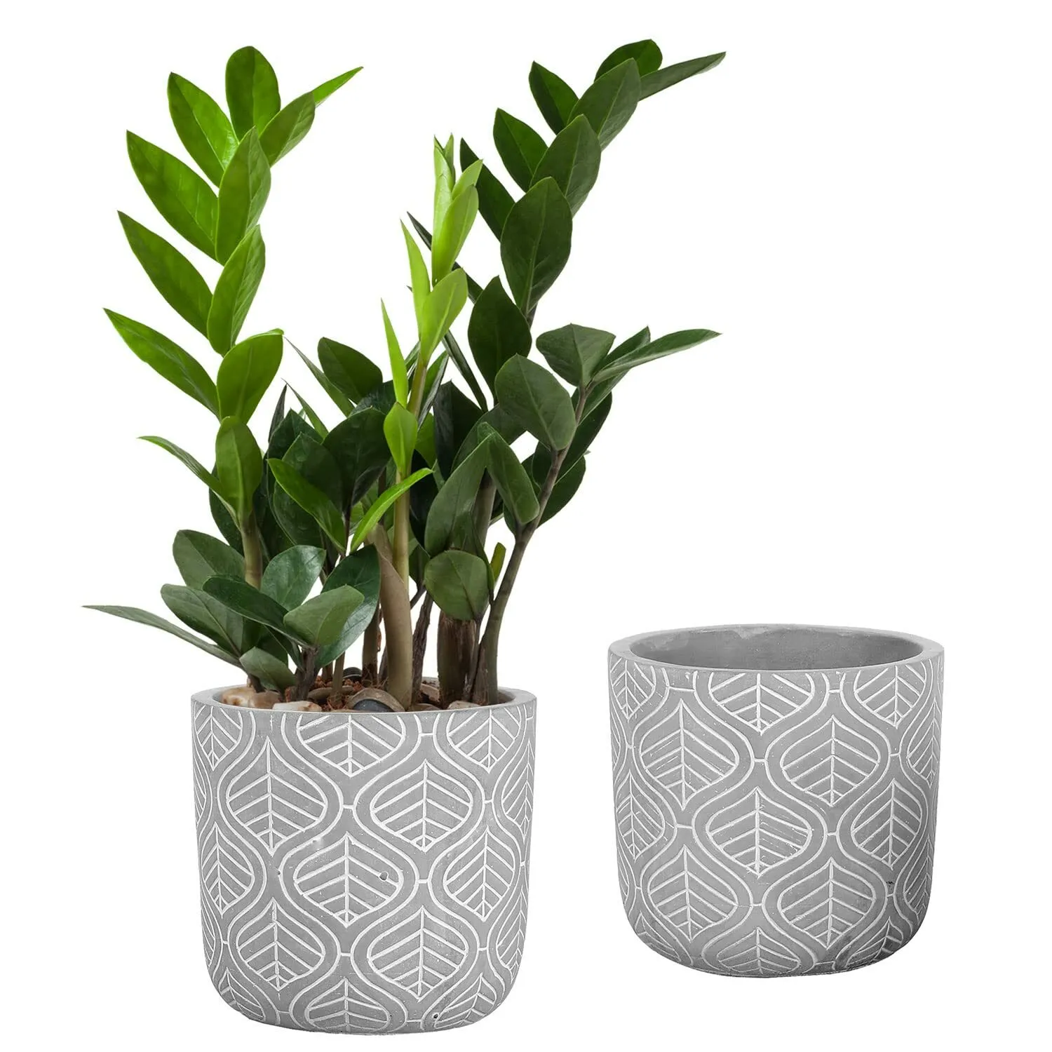 Small Grey Concrete Designed Pot