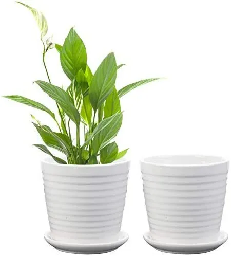 Mini Designed White Pot