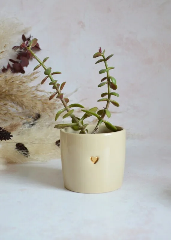 Small Beige Ceramic Pot