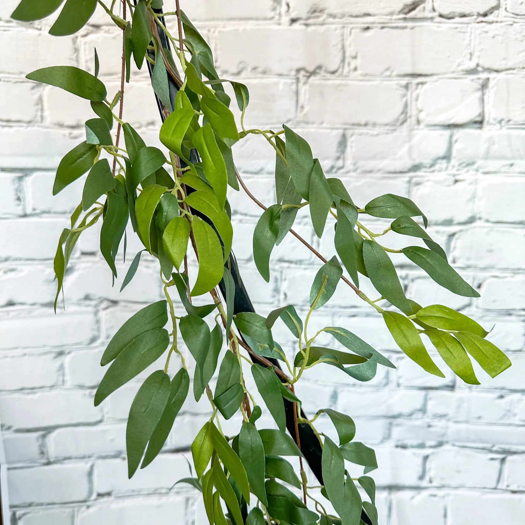 Ruscus Garland - Dark Green