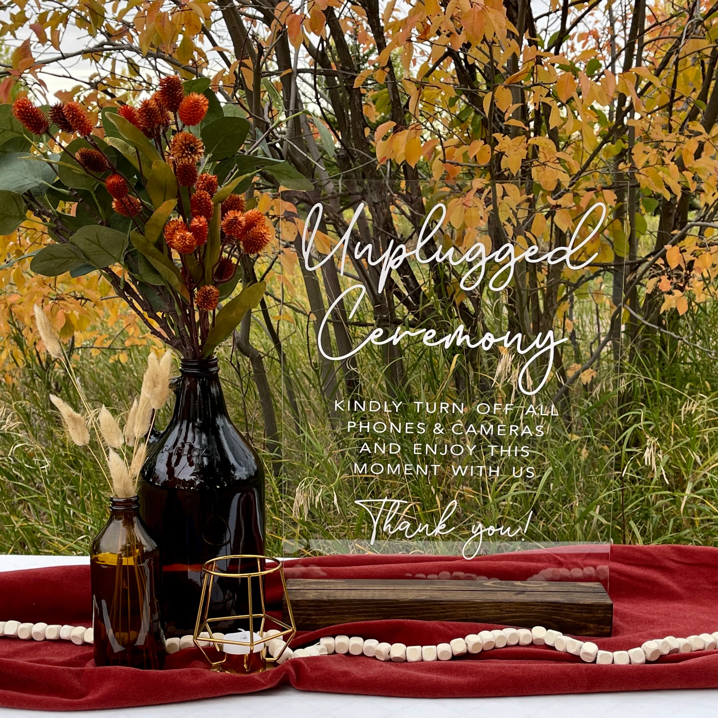 Unplugged Ceremony Sign (Acrylic) - Wood Base