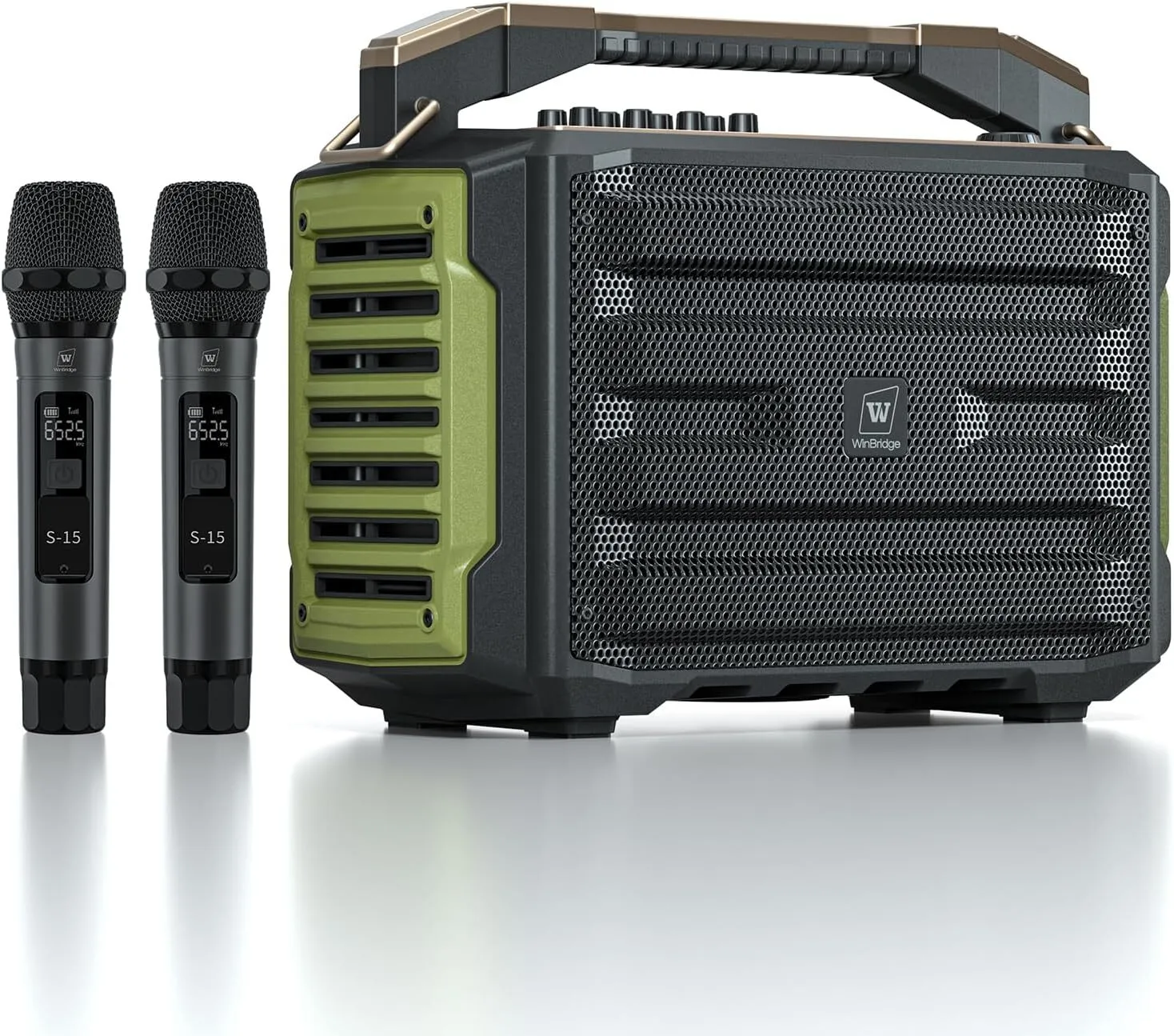 Portable Bluetooth Speaker w/ 2 Wireless Mics 200W