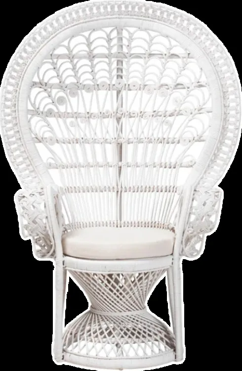Royal Baby Chair
