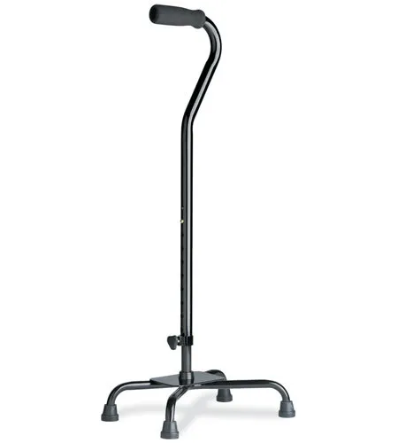 Walking Cane Swan Handle