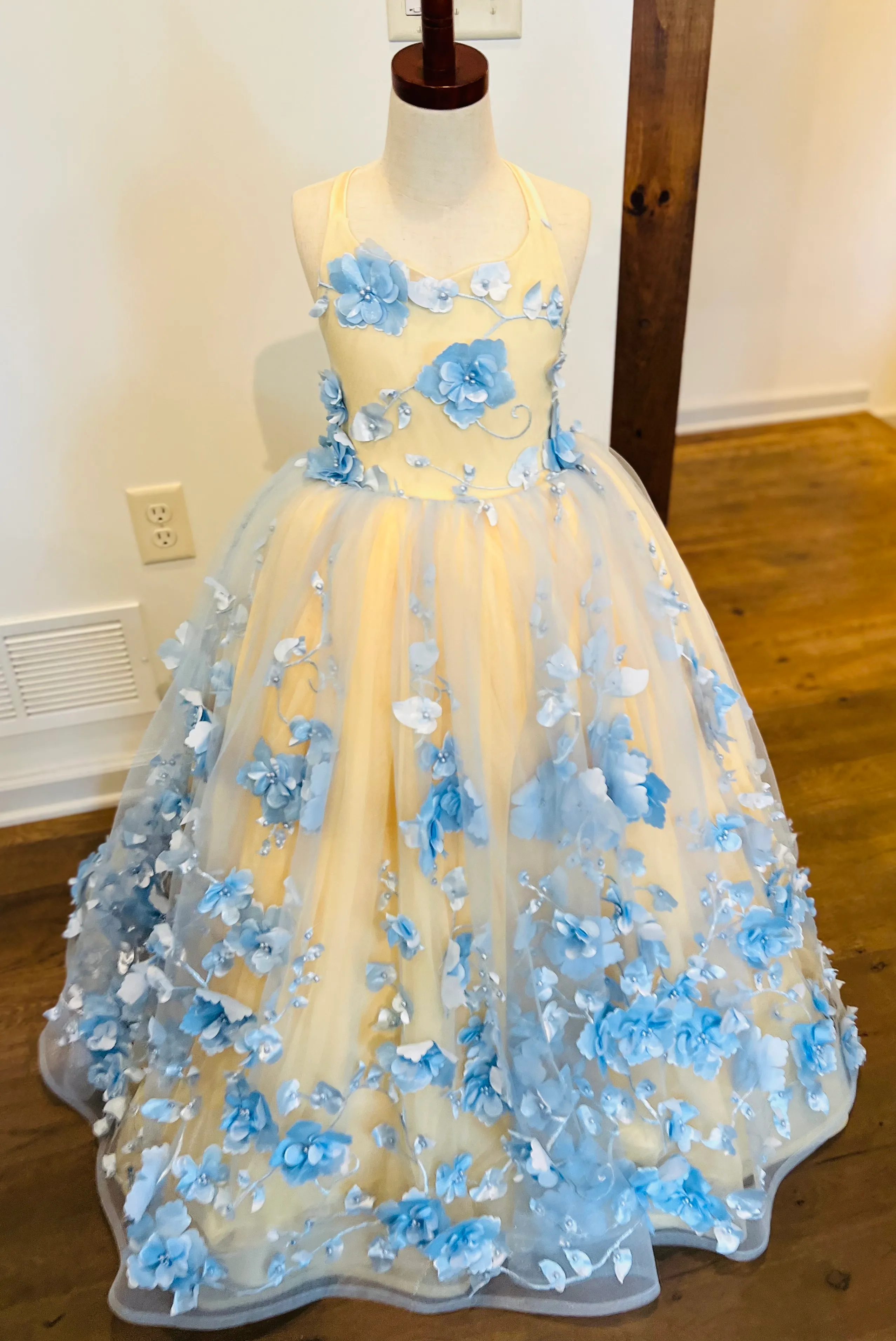 The Talya Gown Size 6, fits 4-9