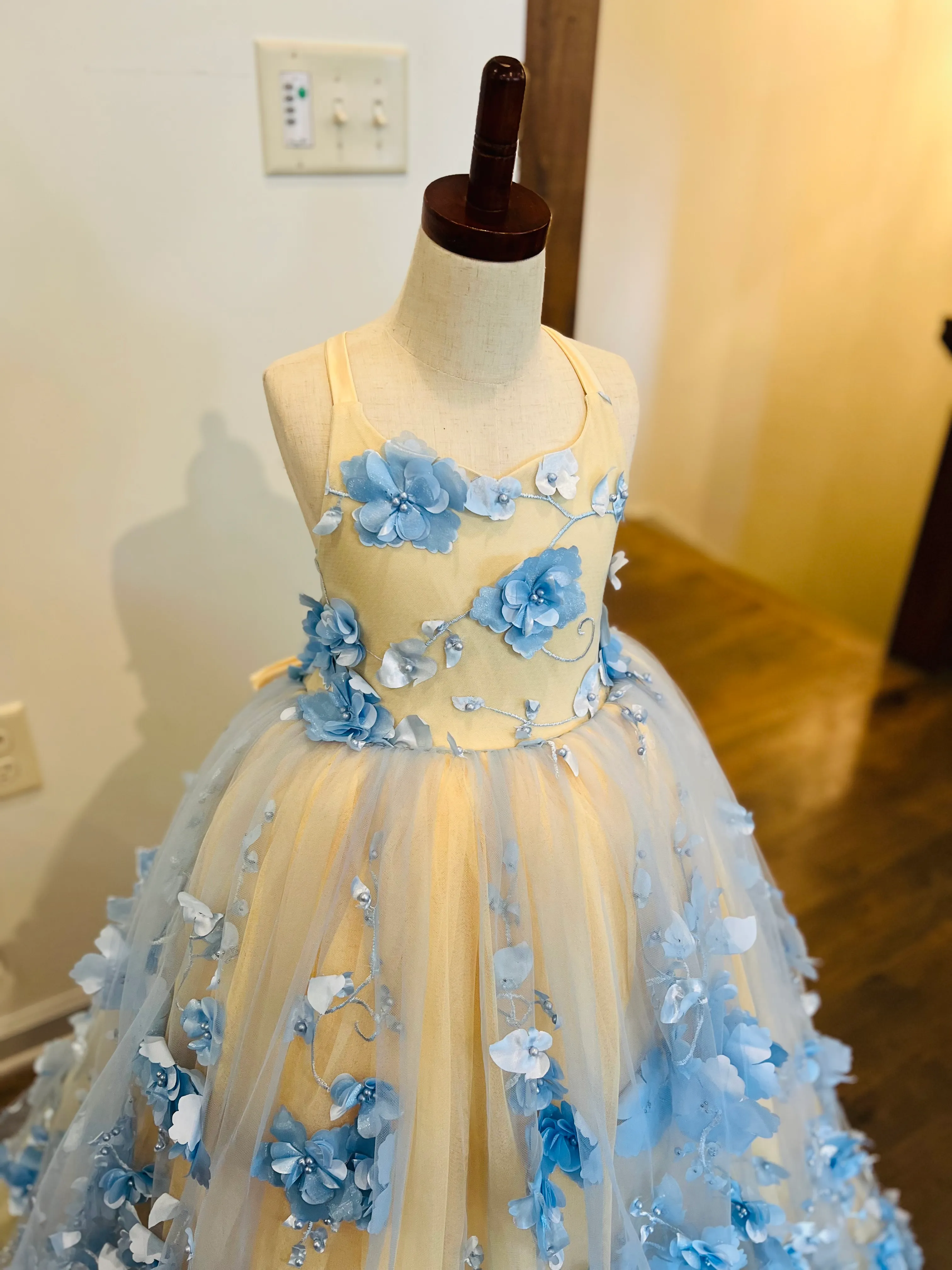 The Talya Gown Size 6, fits 4-9