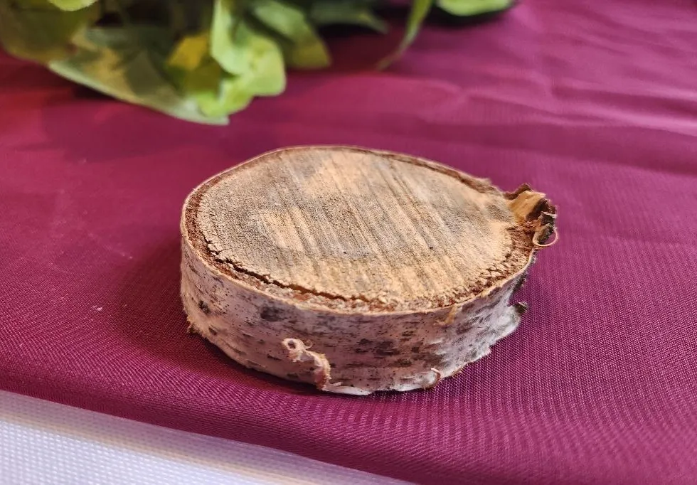 Birch Wooden Round Slice for Votive Size  Medium  Real Wood  (QTY 20)