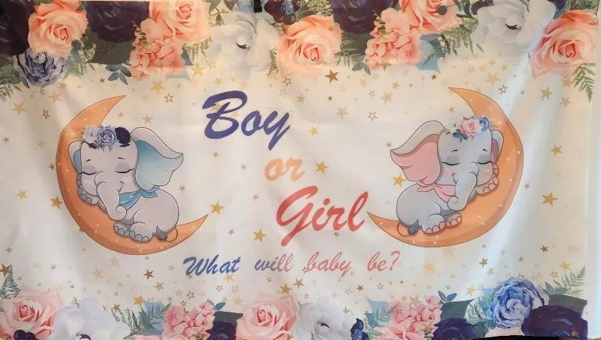 Baby Shower Boy or Girl What Will Baby Be? Sleeping Elephants Gender Reveal Set