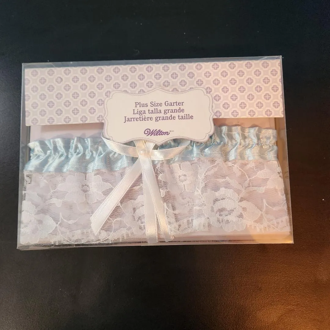 Wilton Plus Size Garter Light Blue Lace FOR SALE