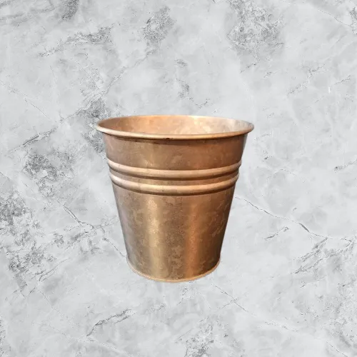 Galvanized Metal Pail  5 in Tall          G3