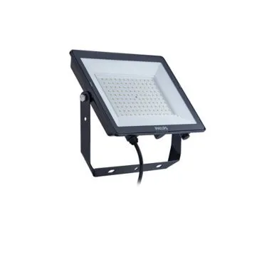 100W Flood Light