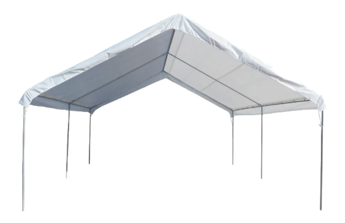20x20 Canopy