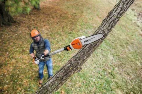 Stihl KN94R Commercial Pole Saw with Extension