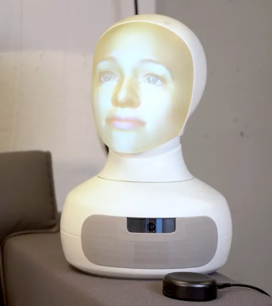 Social Robotics