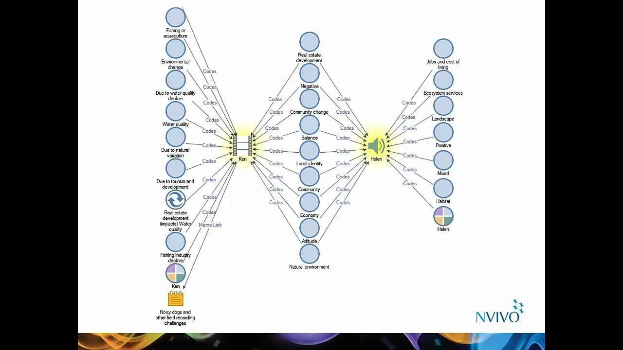 NVivo 11 Pro software