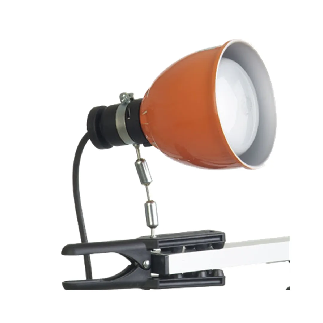 IANIRO Pinza 500 W Clamplight Photoflood