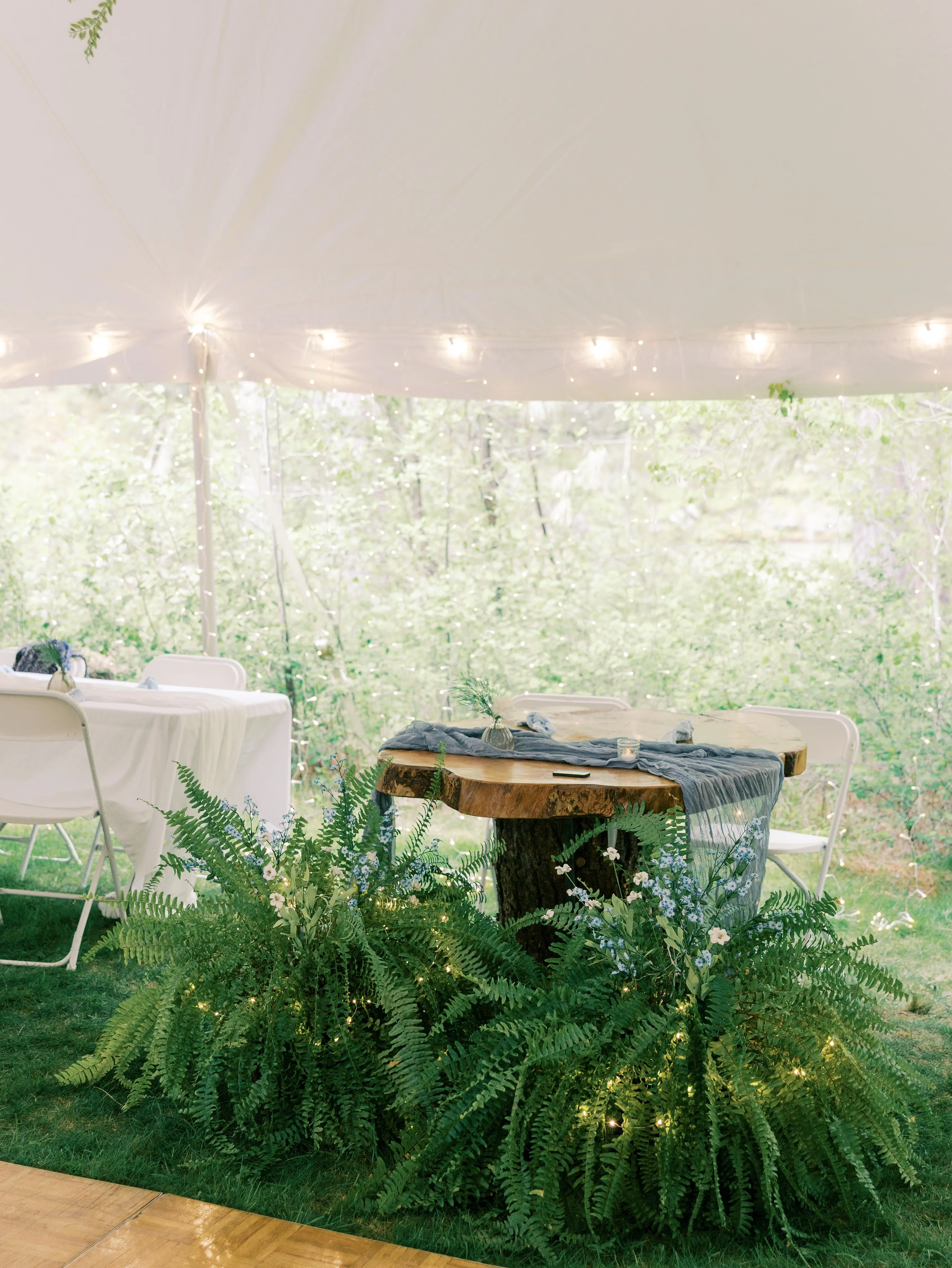30' Curtain Lighting 