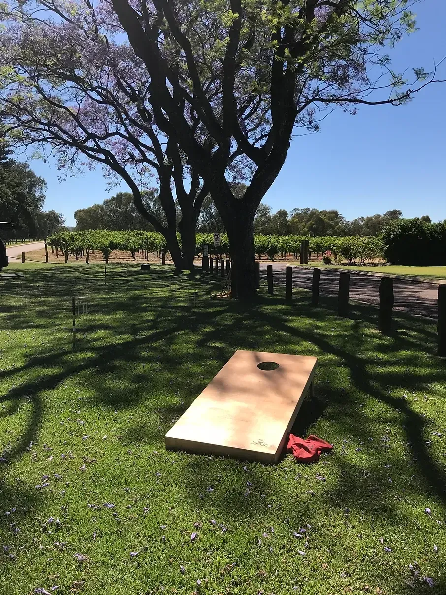 Bean Bag Toss