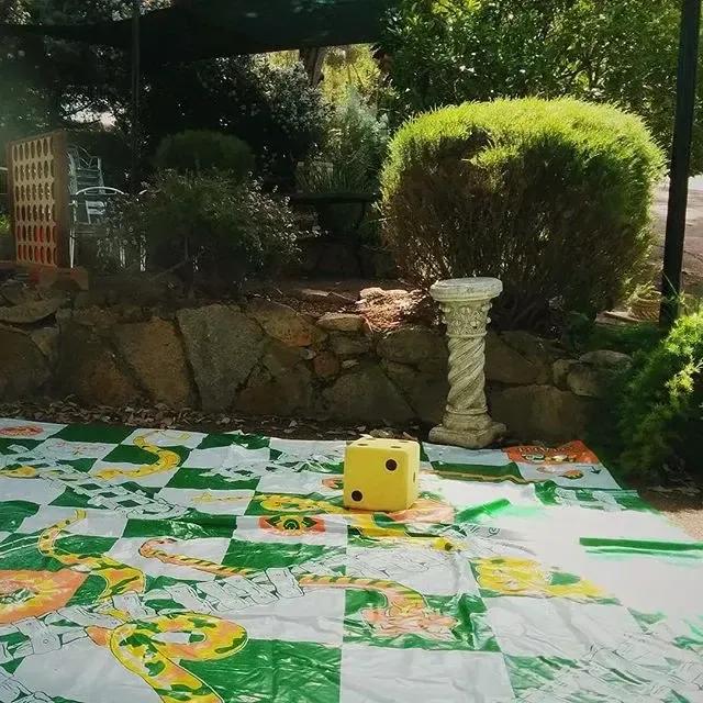 Giant Snakes and Ladders