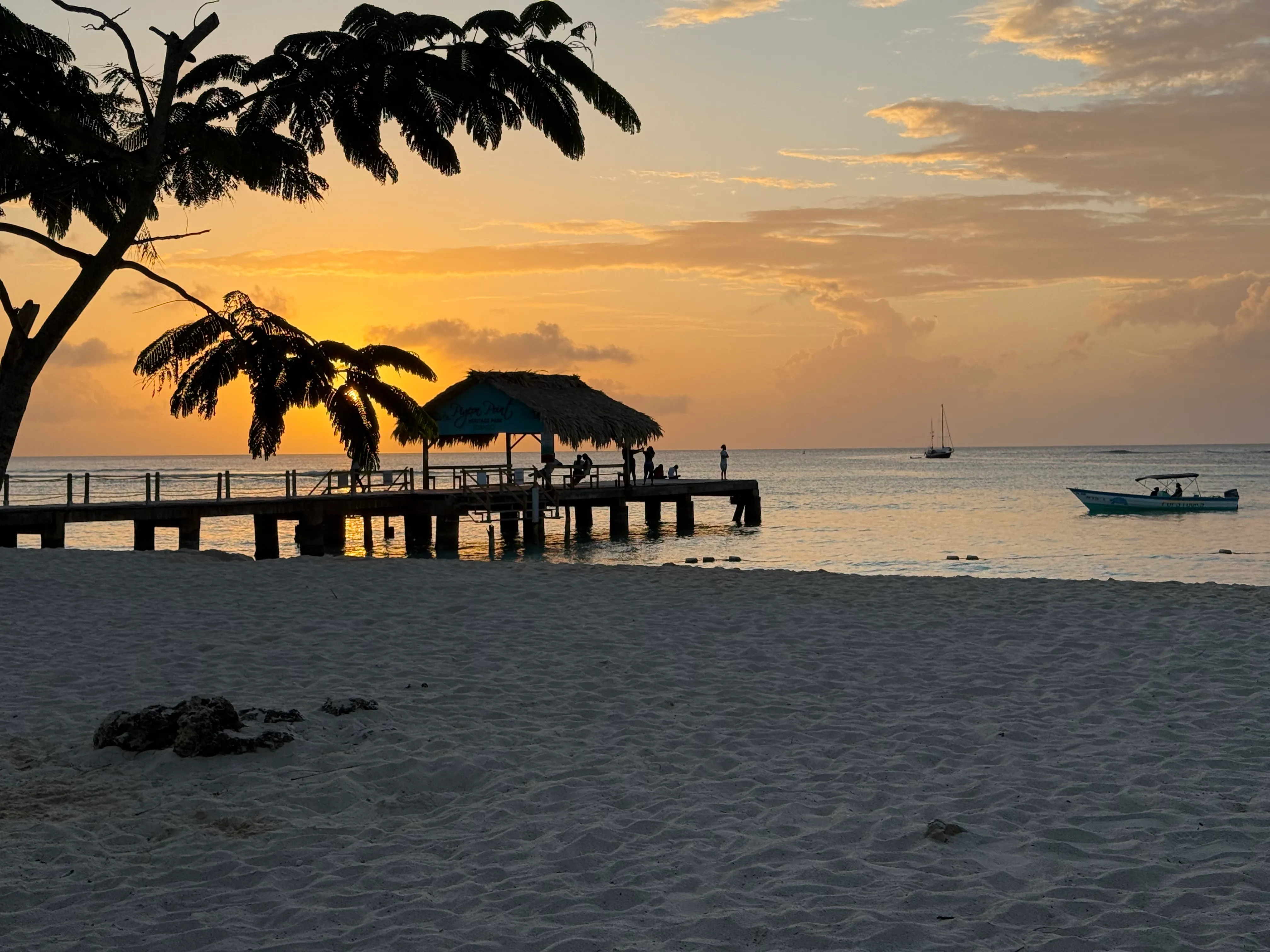 Small-Group Guided Tobago E-Bike Tour — 2 or 4 Hours