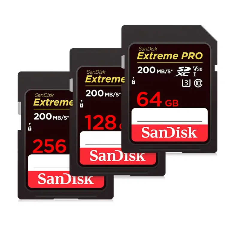 Tarjeta de memoria SD (variedad)