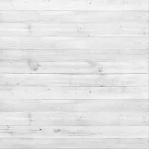 Wood Backdrop, 10'x10' Polyester
