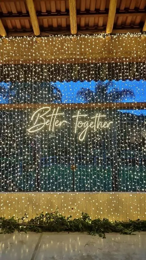 Twinkle Light Backdrop