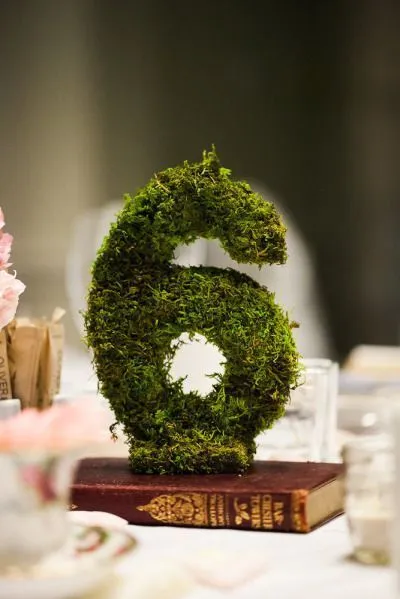 Moss Table Numbers
