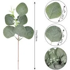 Eucalyptus - Small Stems