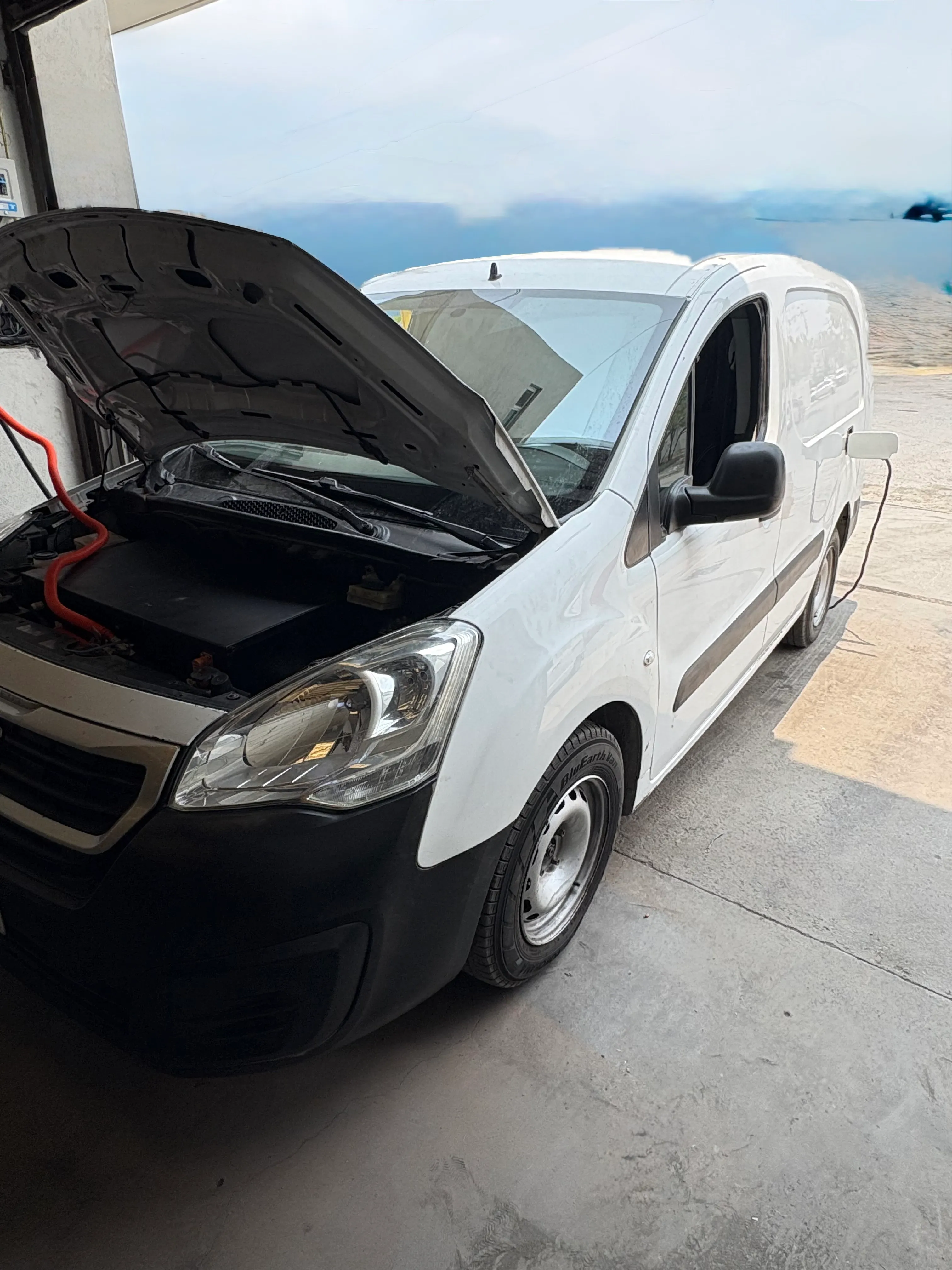 Manati (Electric Small Van)