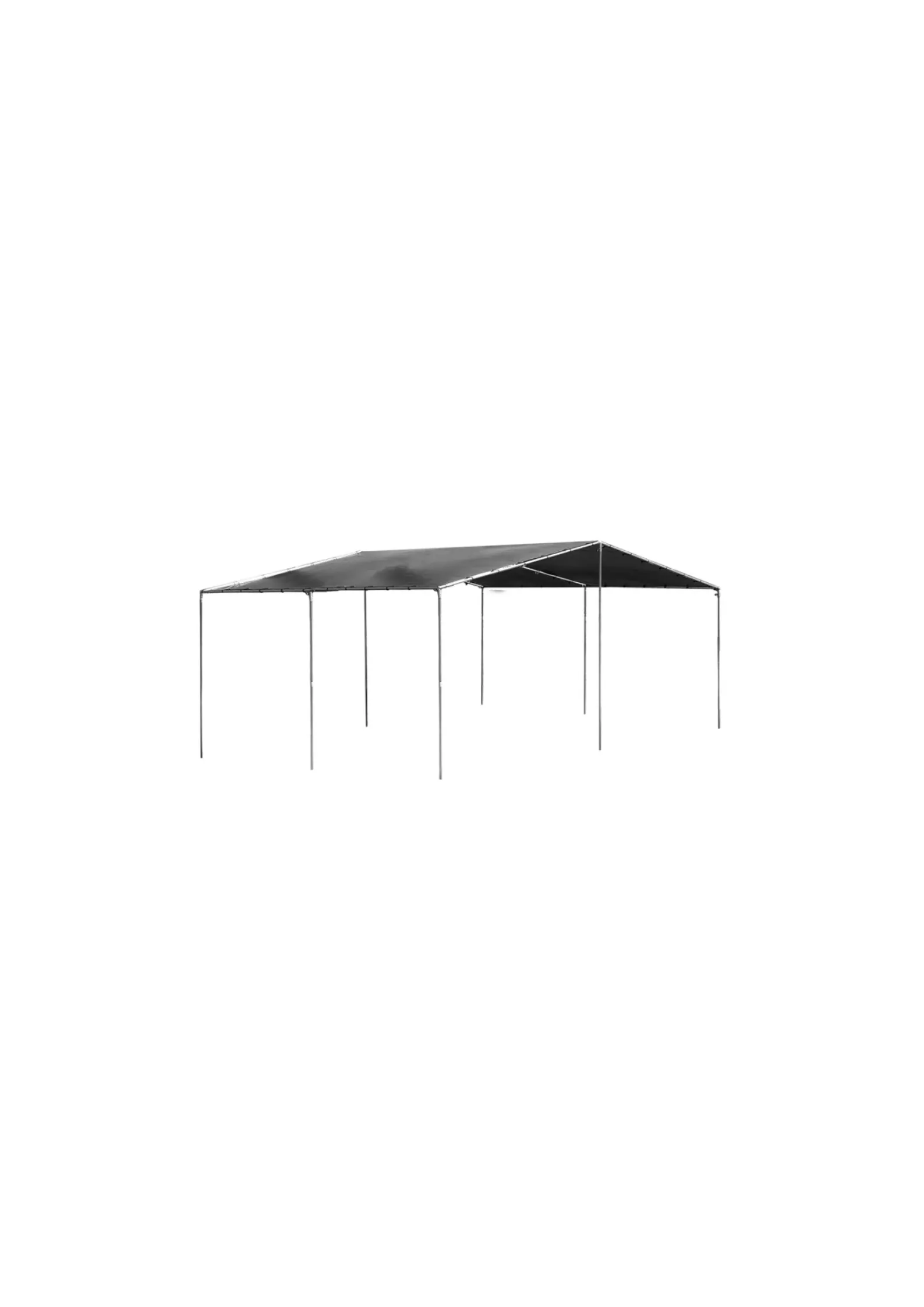 20x20 Canopy (setup and breakdown not included)