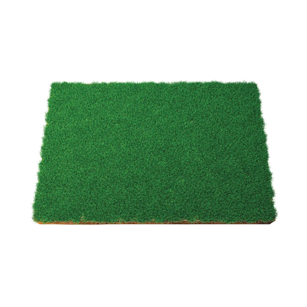 Grass Carpet