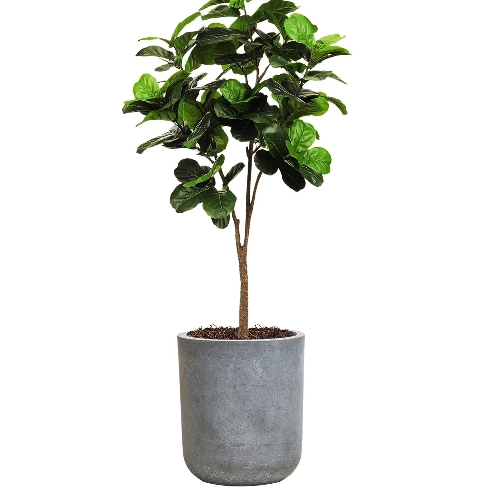 Black rectangular vase 12.3H 13 T 