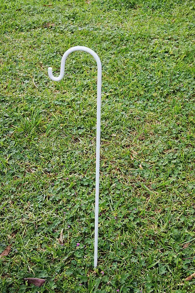 White wedding shepherd hooks 60 cm with 1 prong