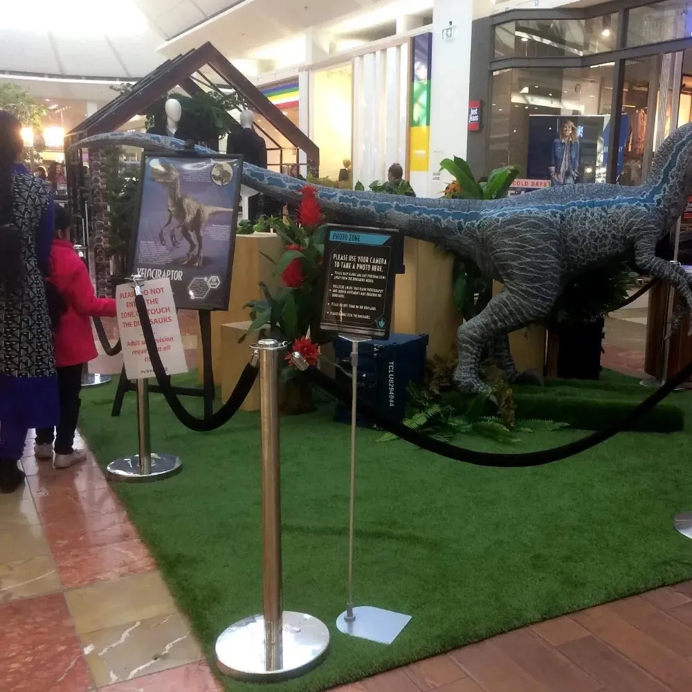 Stainless steel barrier stanchion bollard with black velvet rope and runner carpet set 