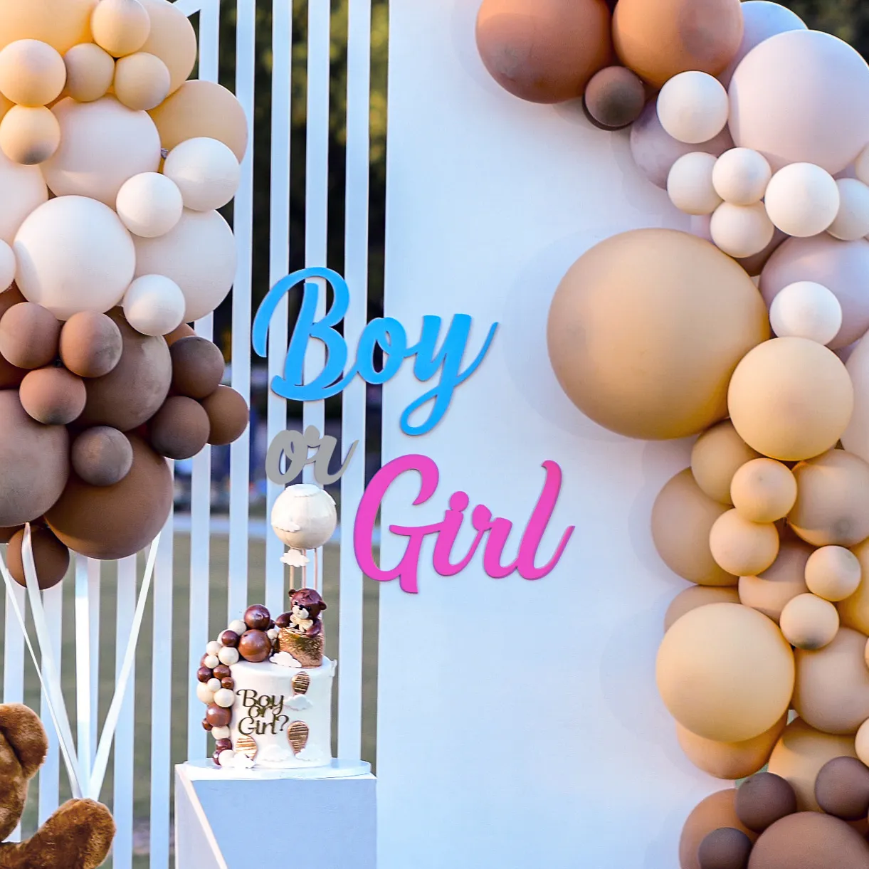 Gender Reveal Boy or Girl Signage