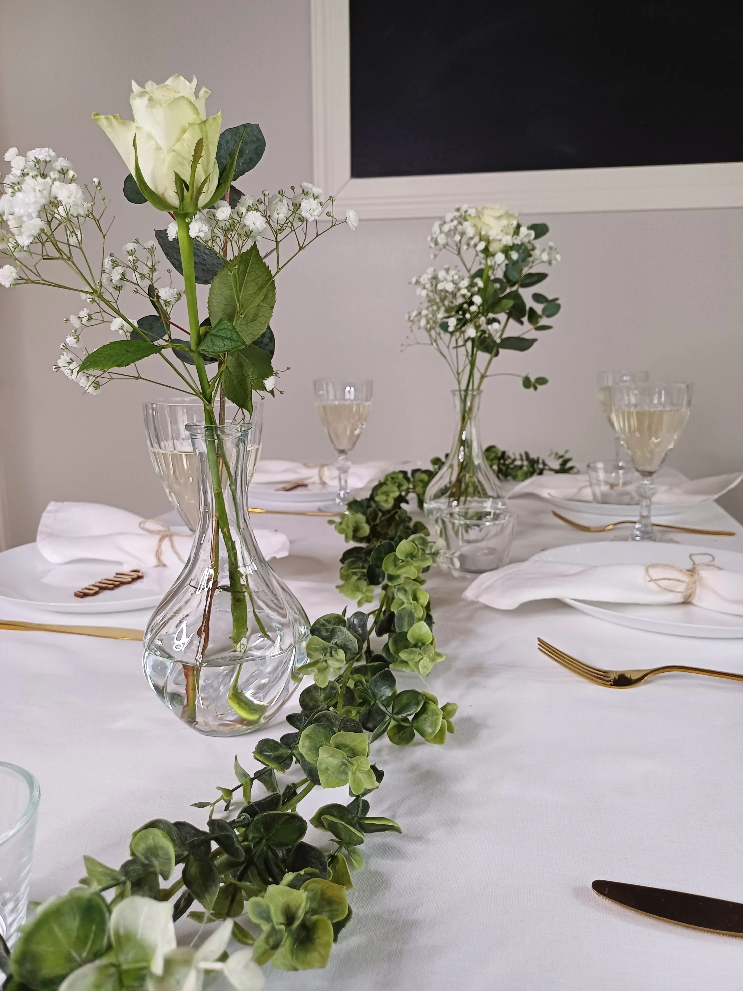 Pienilehtinen eukalyptusköynnös