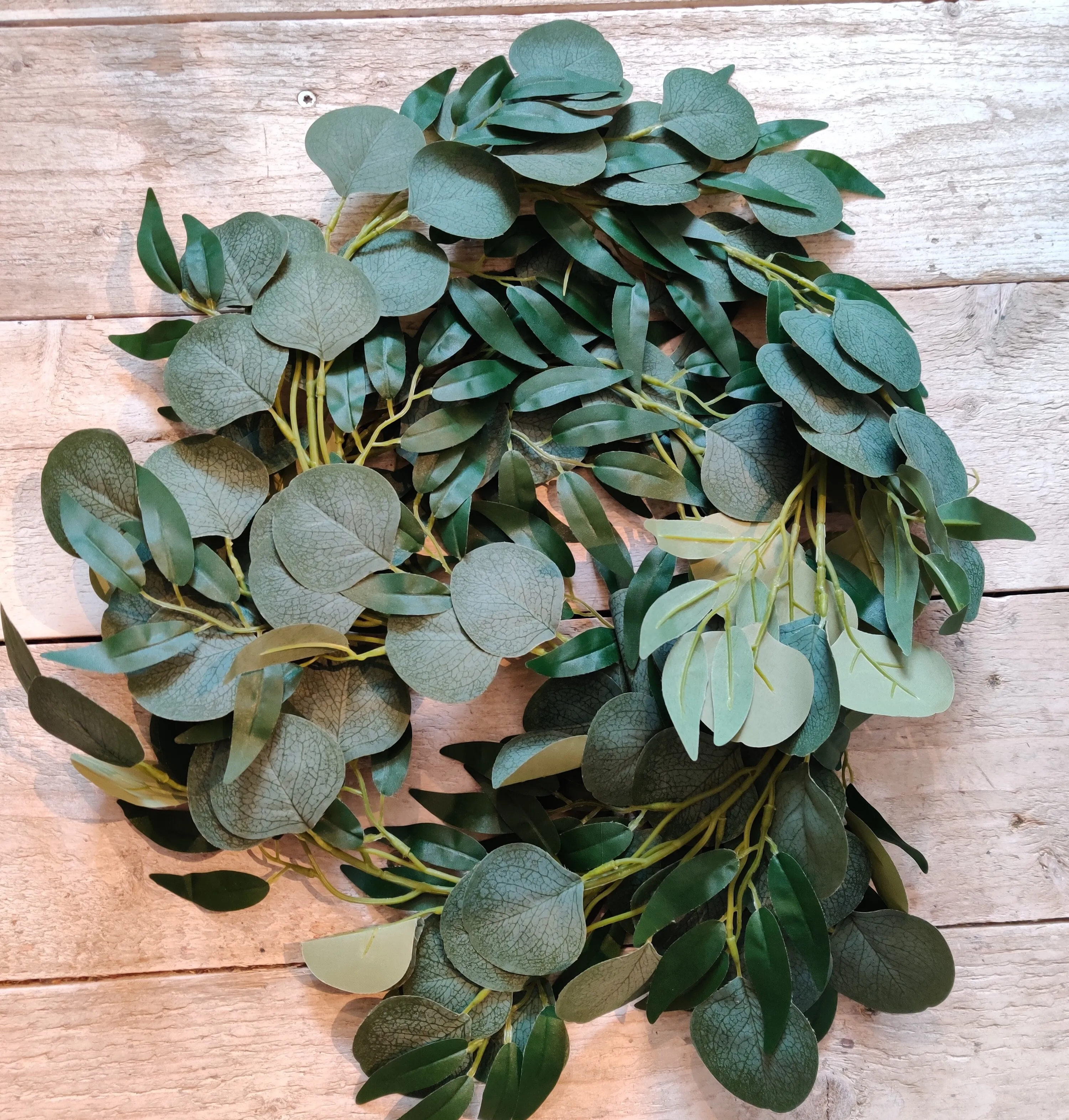 Tuuhea eukalyptusköynnös