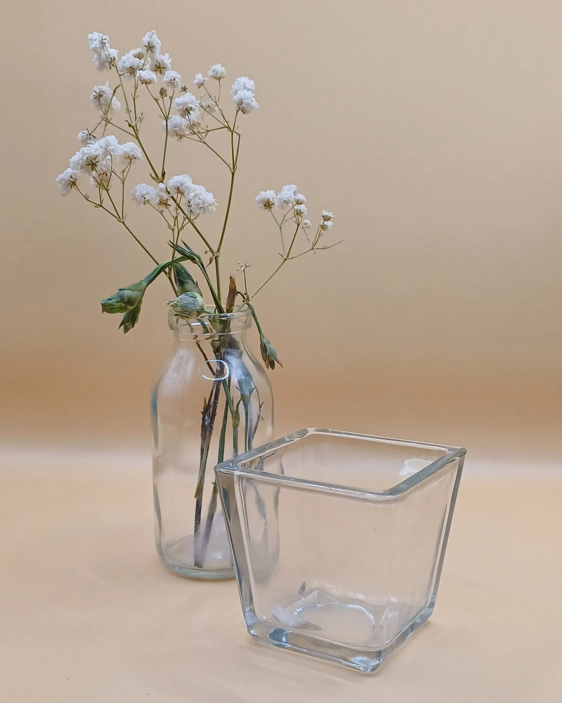 Kirkas tuikkukippo, kulmikas