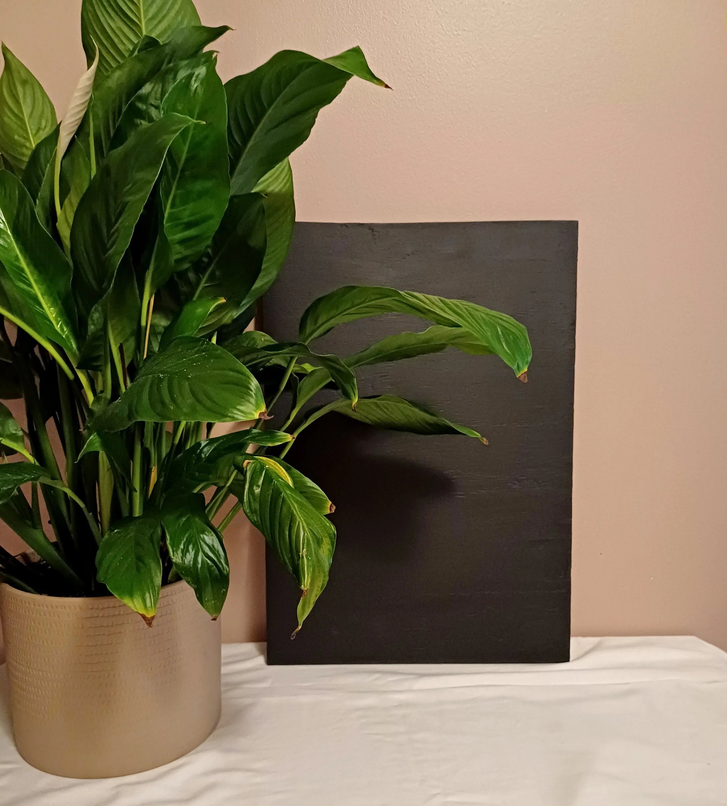 Liitutauluja, erikokoisia