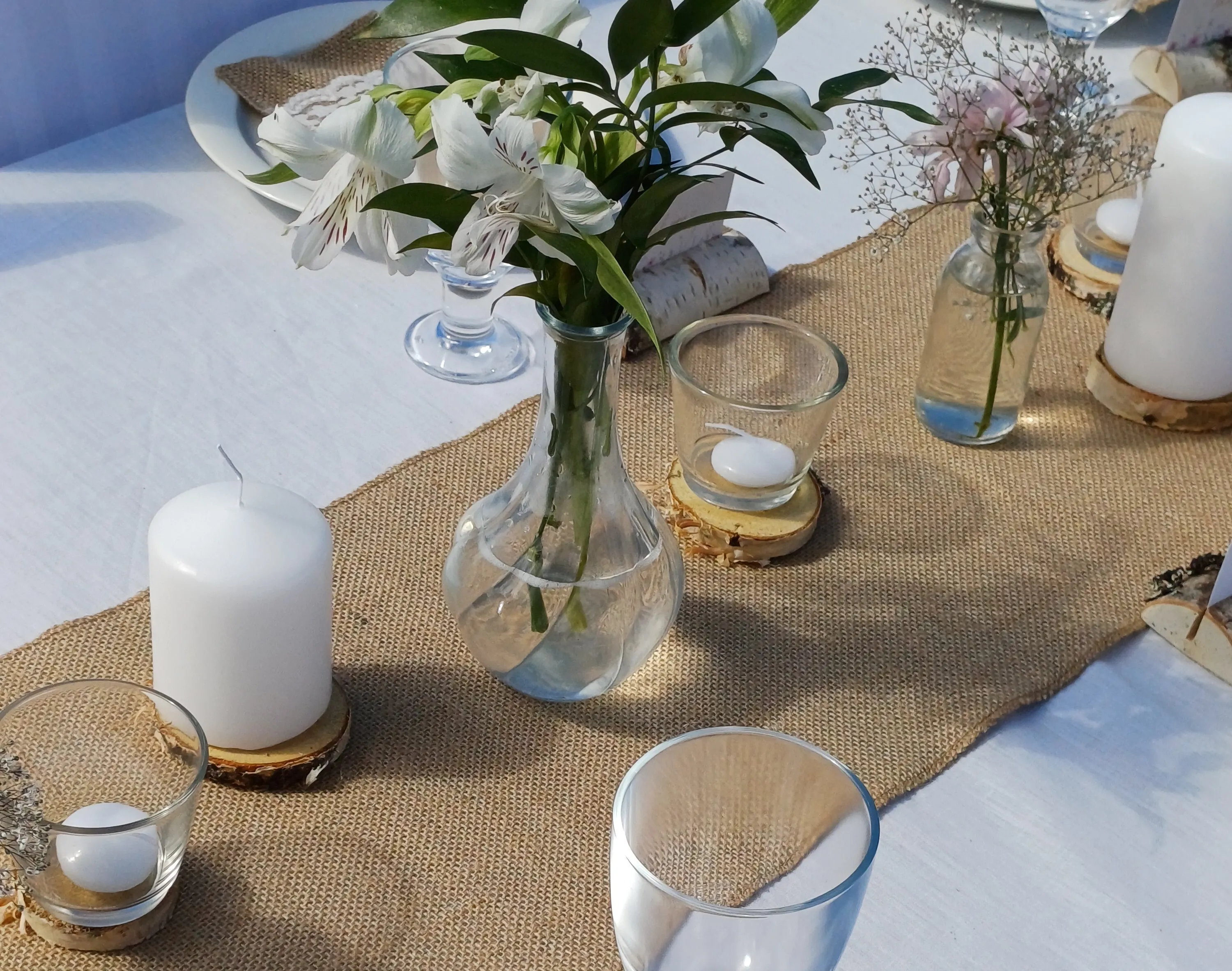 Koivukiekot, erikokoisia