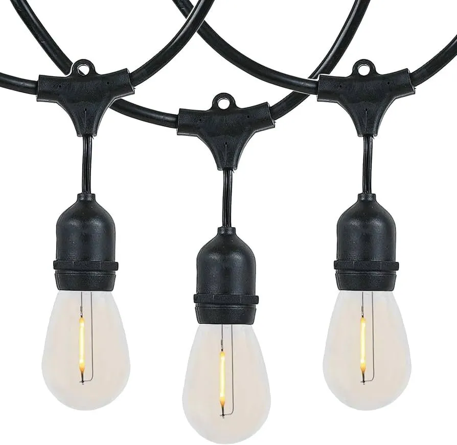 48' String Lights with 24 LED Lights