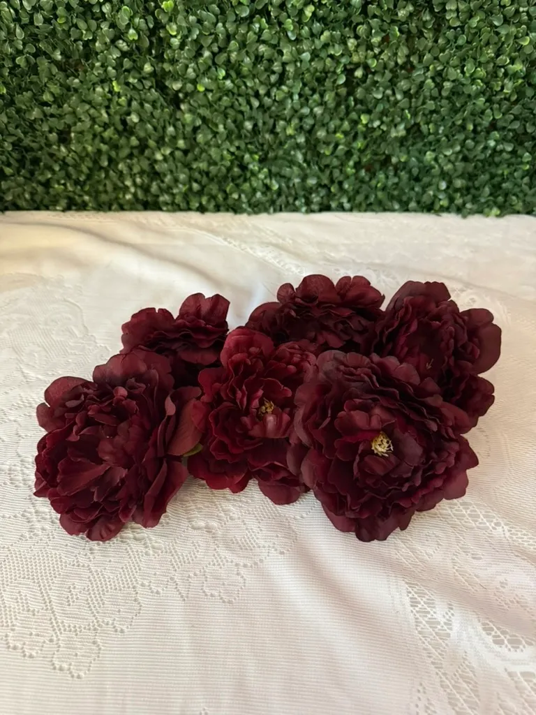 Burgundy Peonies