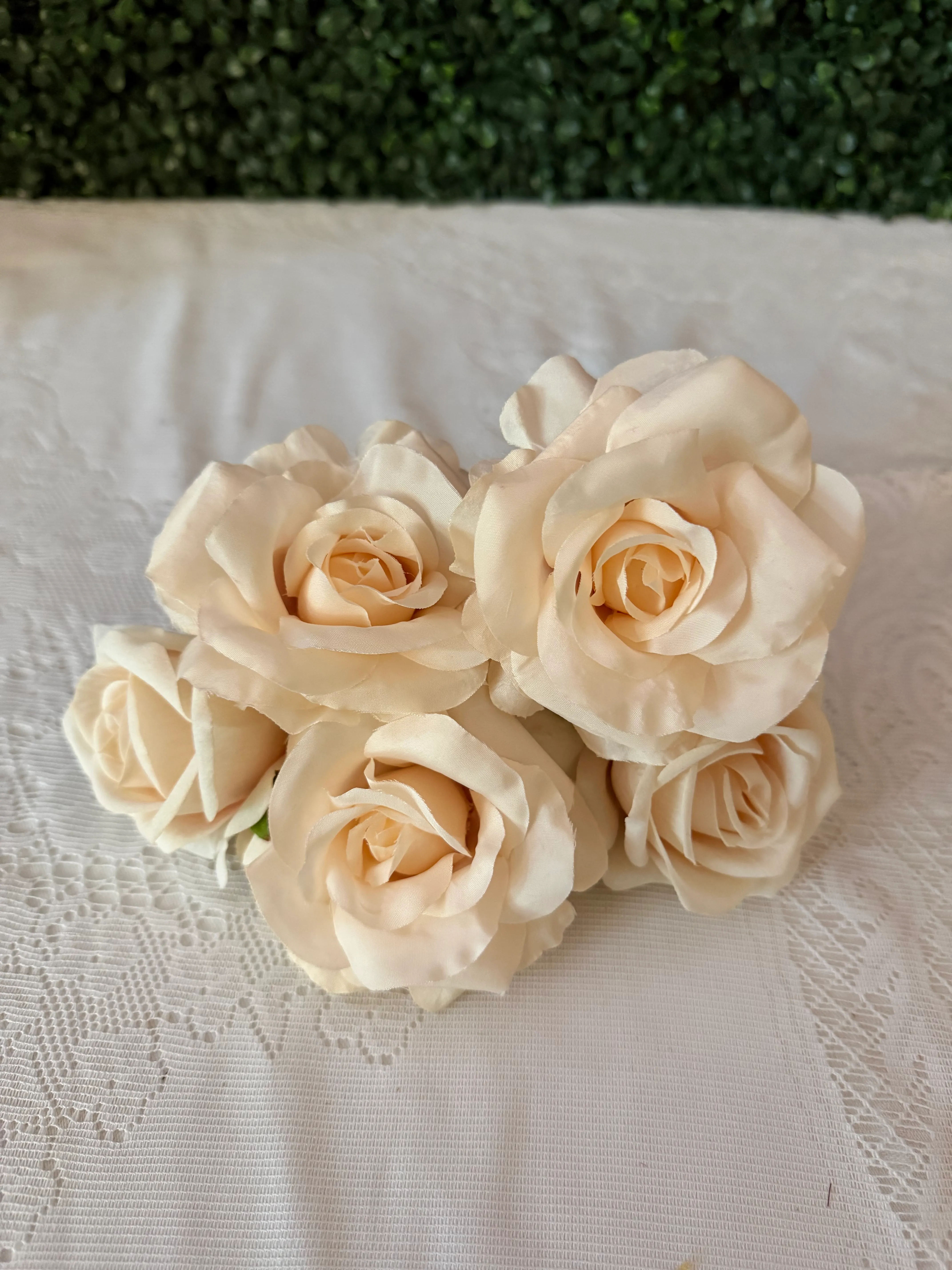 Champagne Pink Rose Stems