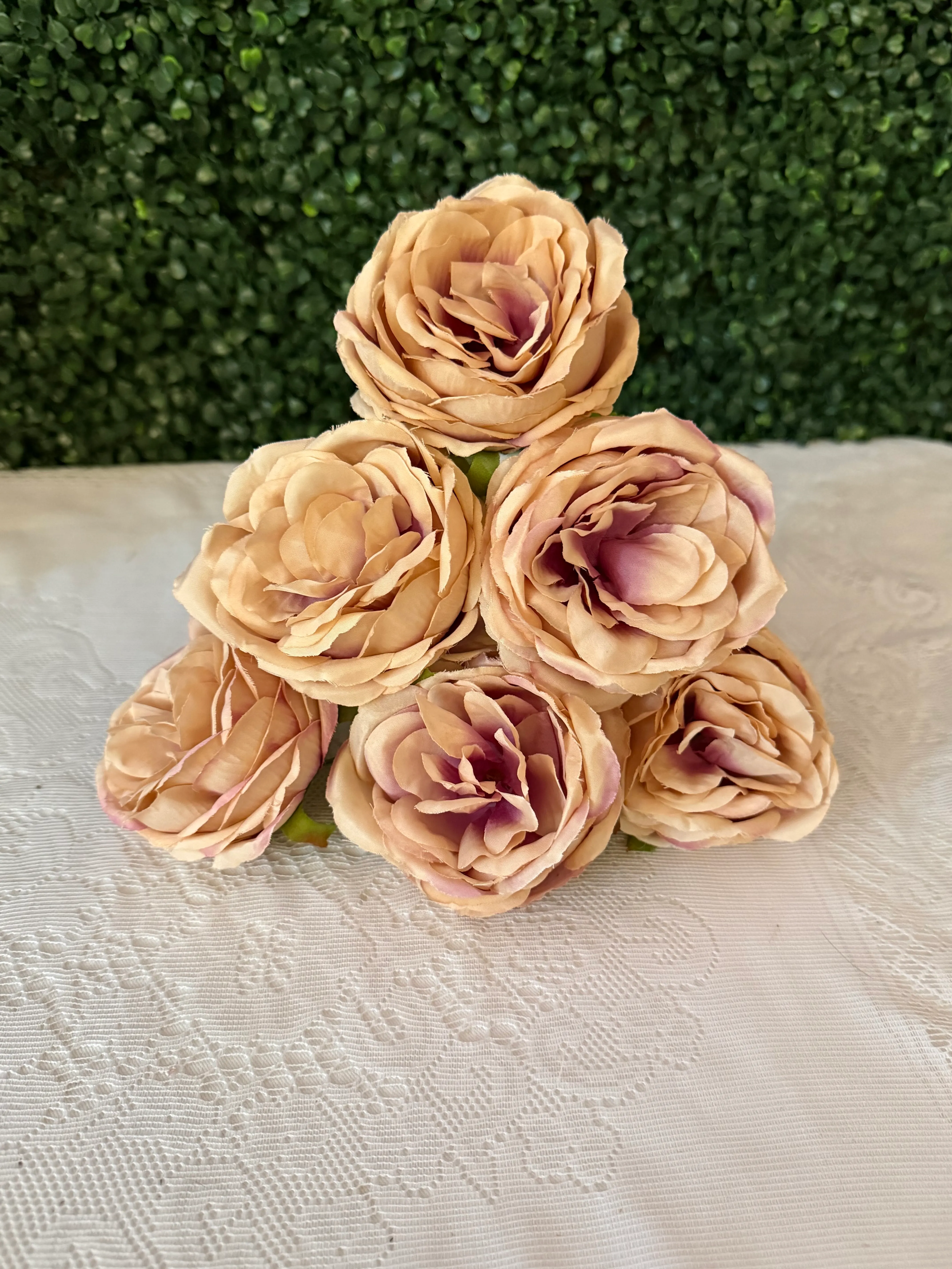 Champagne Blush Peony Stems