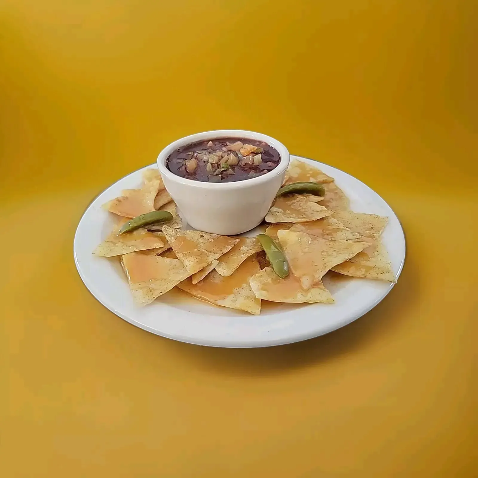 Prop Chips and Salsa on Ceramic Plate 