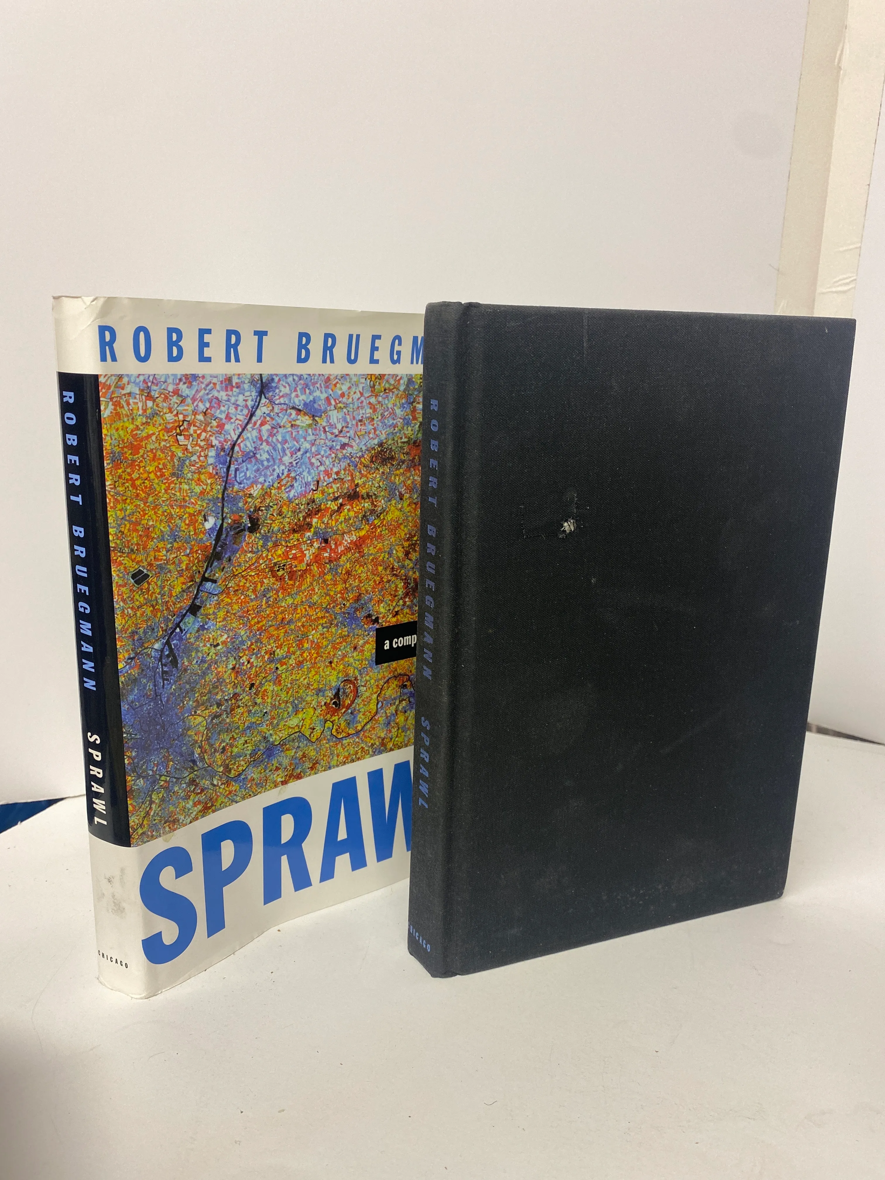 Sprawl - Robert Bruegmann