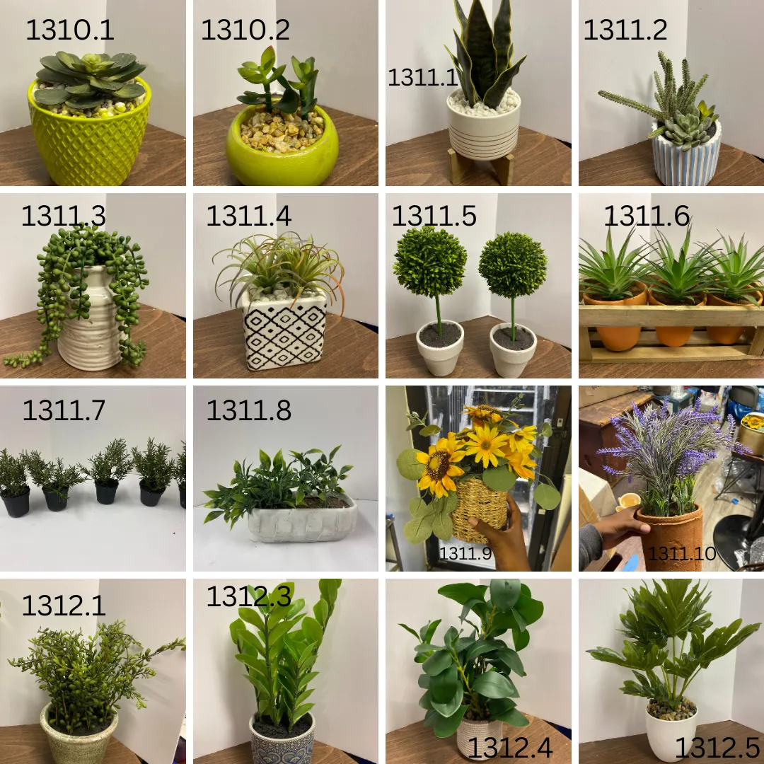 Small Plants 